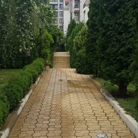 شقة Studio 